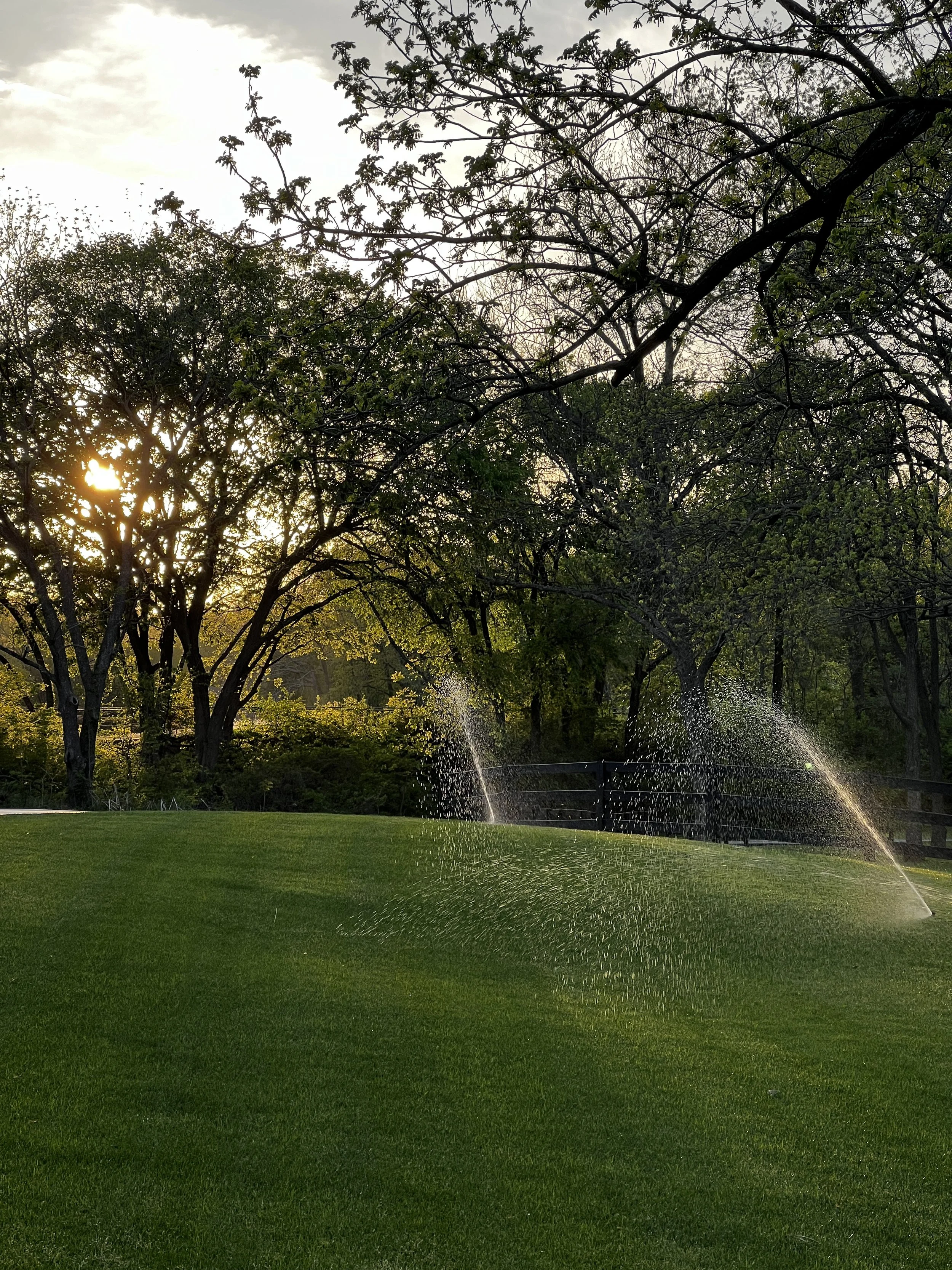 Spain Ranch Landscape Irrigation.JPG