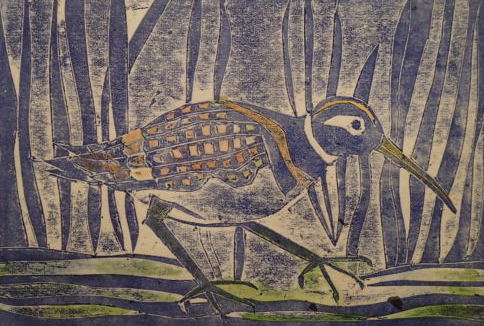 painted-snipe-in-the-kooragang-marshlands_Collagraph_Jennifer Castaldi.jpg