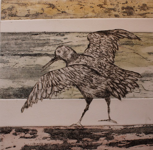 The Great Knot_Jeanne Harrison_etching and drypoint.jpg