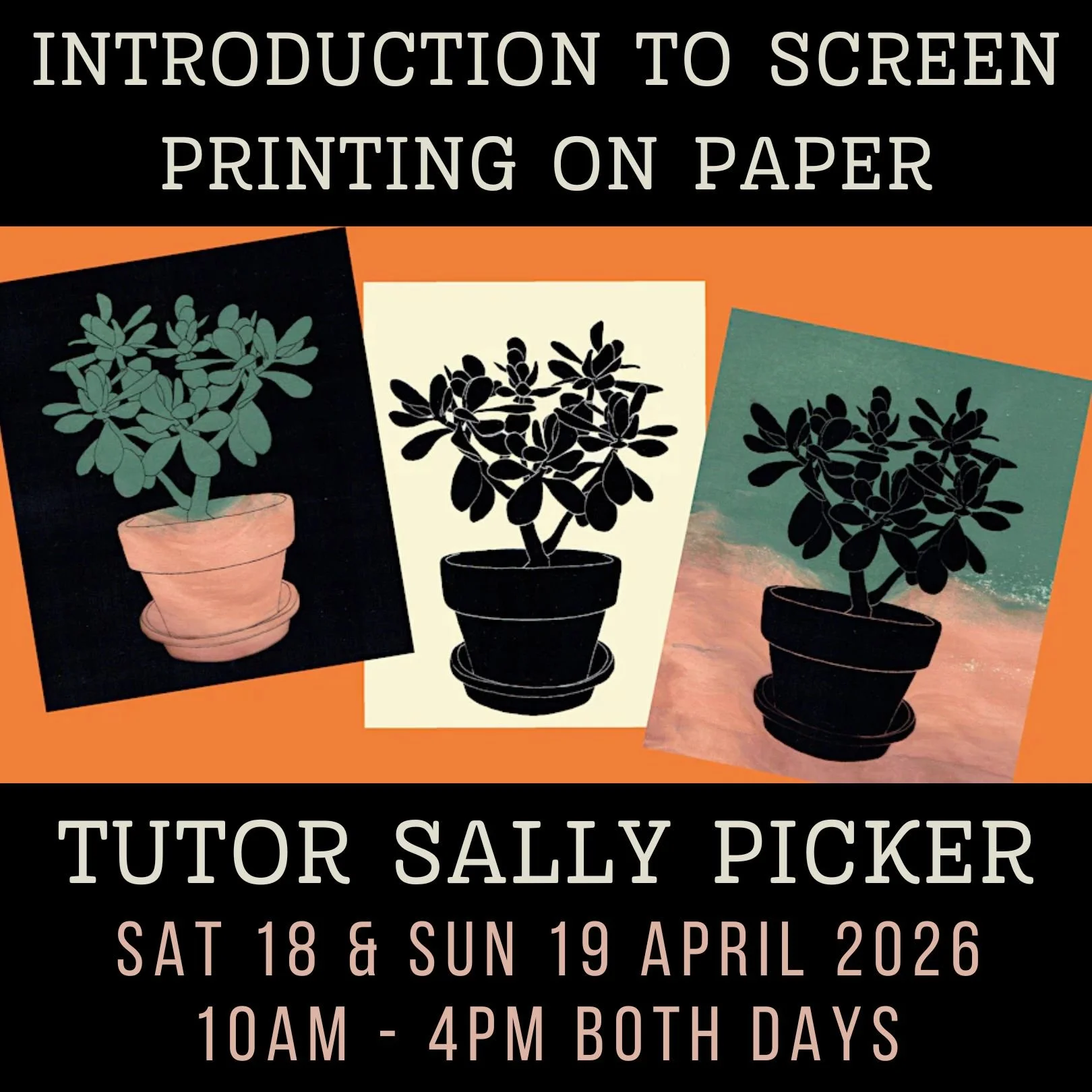 Introduction to Screen Printing on Paper Workshop with Sally Picker