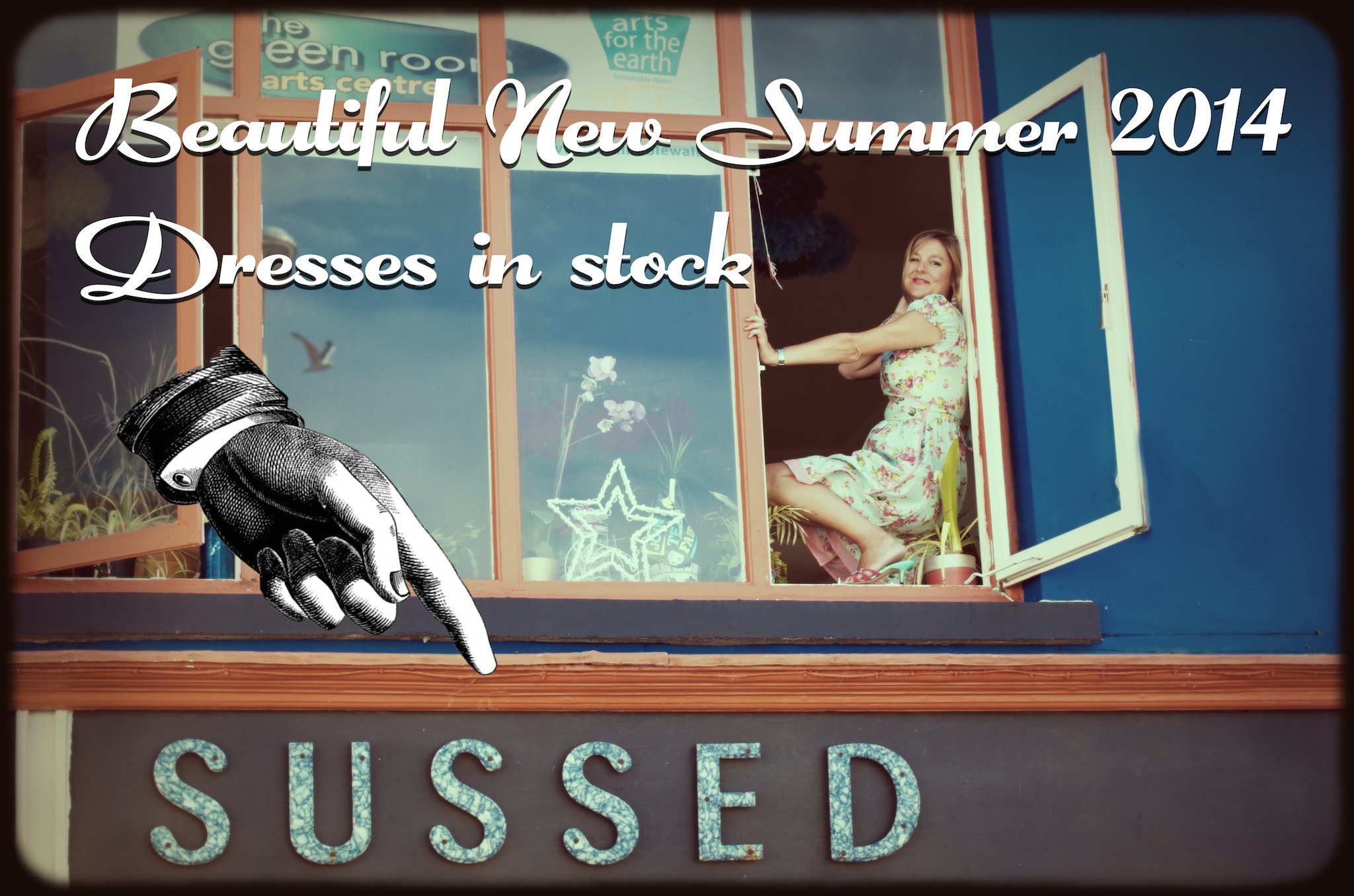 Sussed Window Summer 2014 dresses Text web.jpg