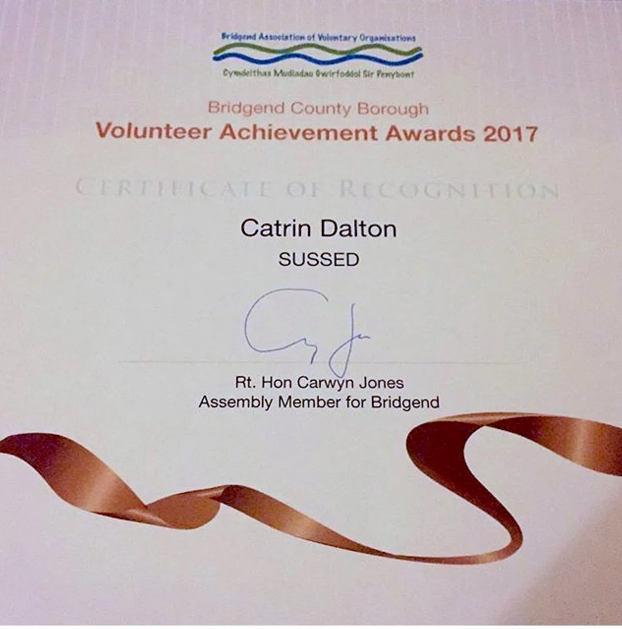 BAVO award for Catrin presented at the SW 20th Anniversary celebration in late 2017.