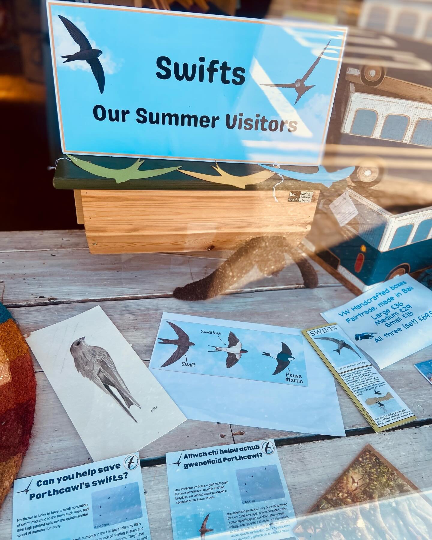Swift nesting box display at SUSSED. #swift #porthcawl We have swift boxes on our James Street shop.