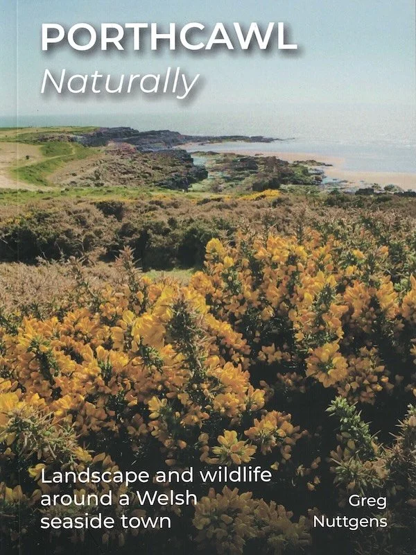 Greg Nuttgens&rsquo; Porthcawl Naturally is back in stock at SUSSED- ideal gift