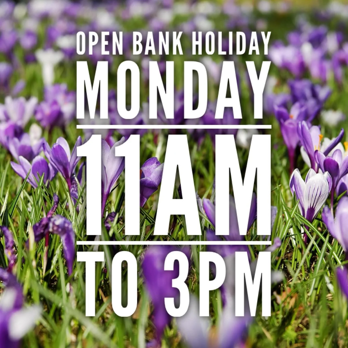 Open on bank holiday Monday 4 May