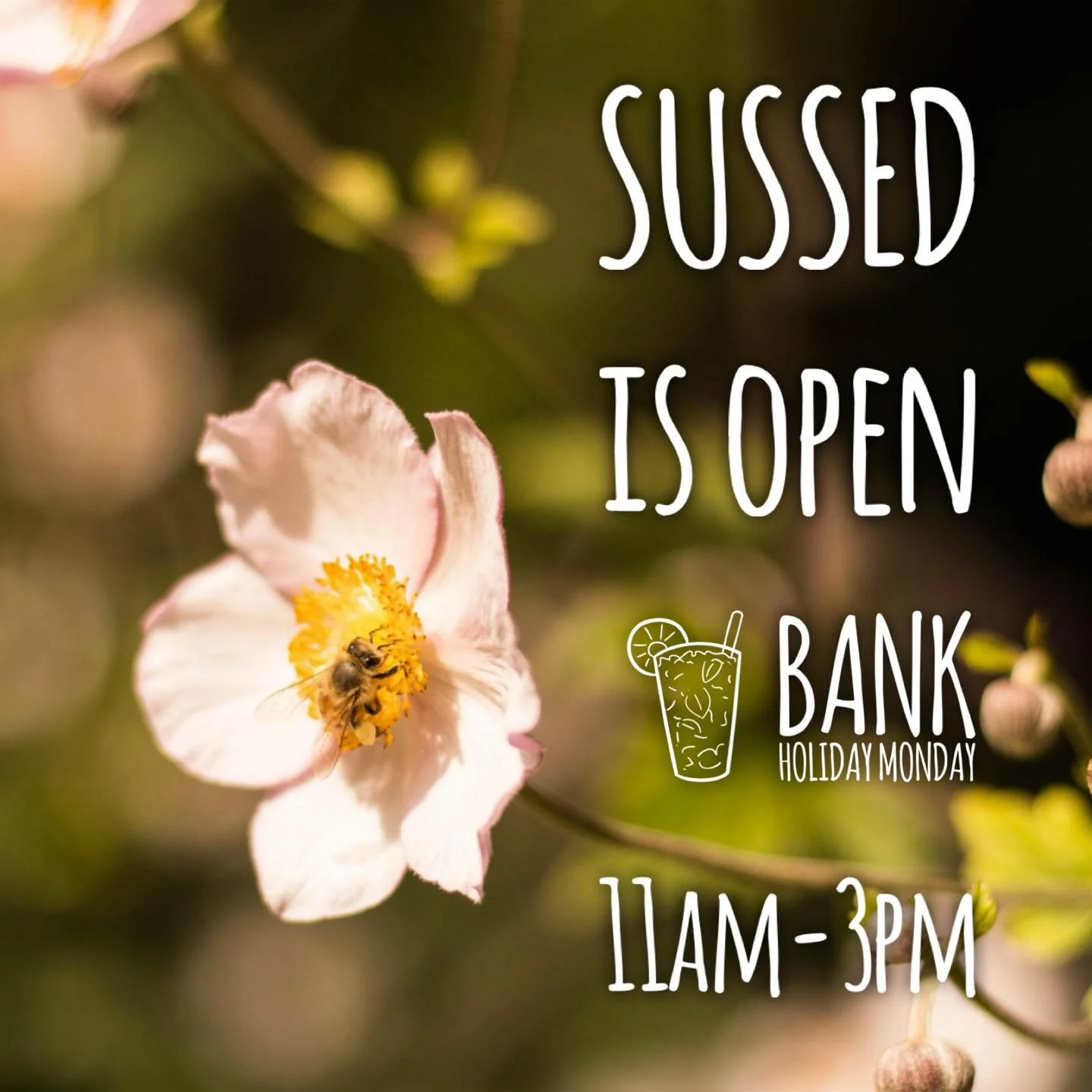 SUSSED is open Bank Holiday Monday 11am to 3pm