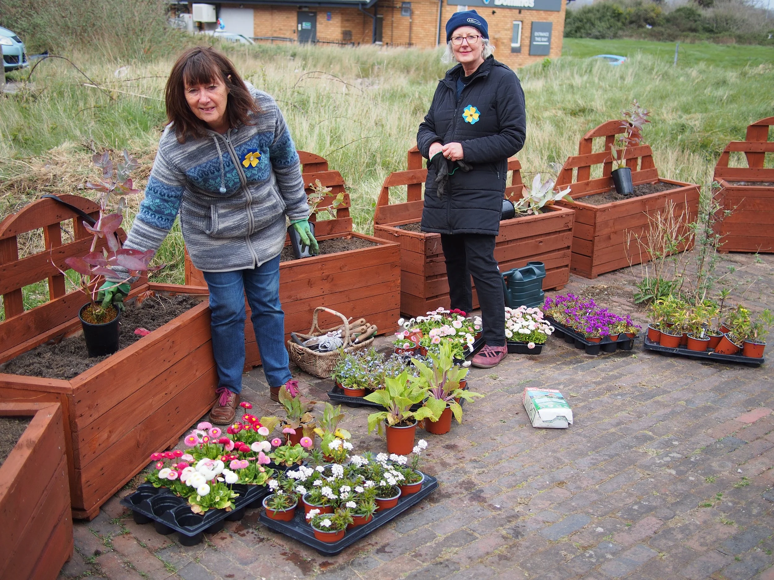 Planters first flowers 22.JPG