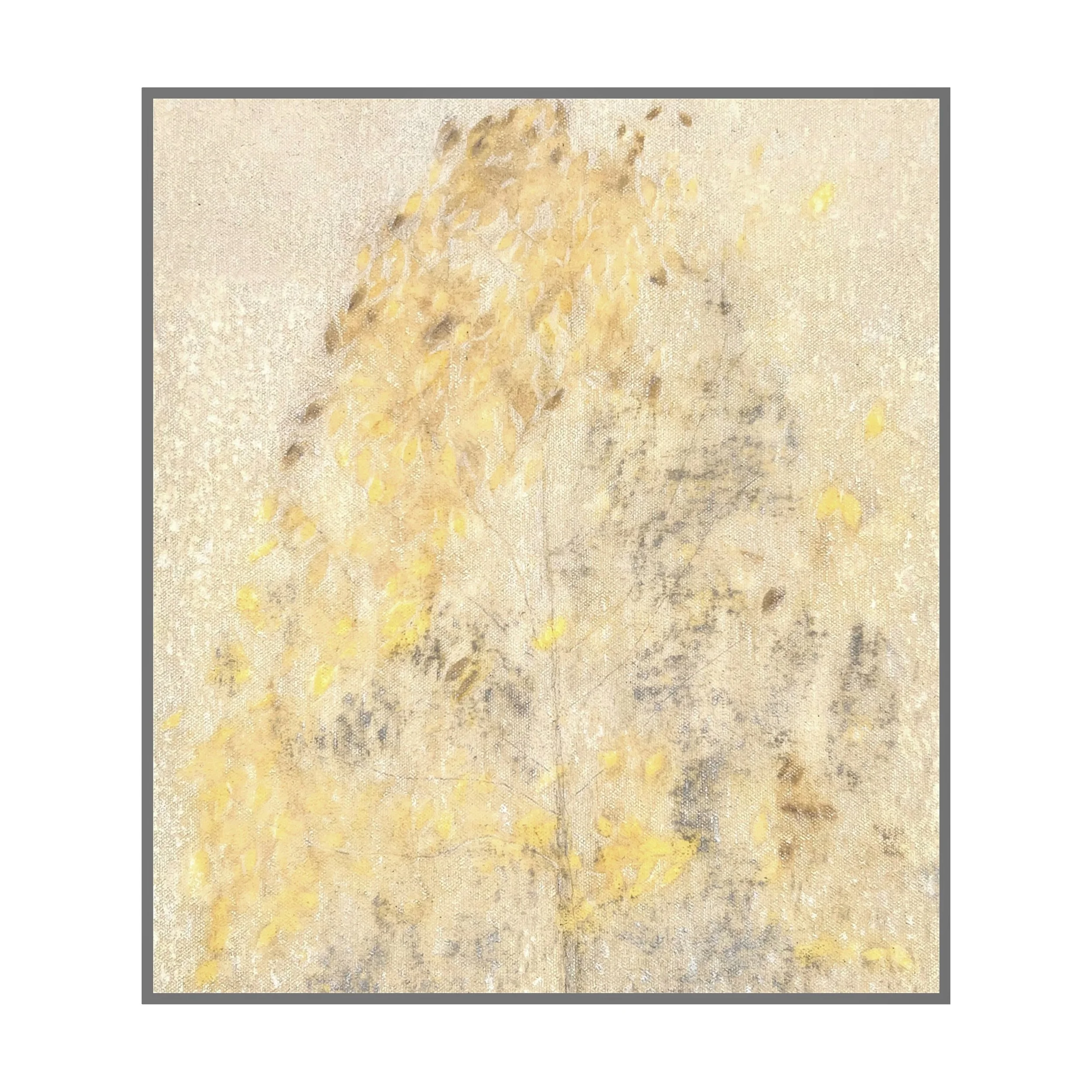 Photo Nov 13 2024, 5 39 11 PM.jpg