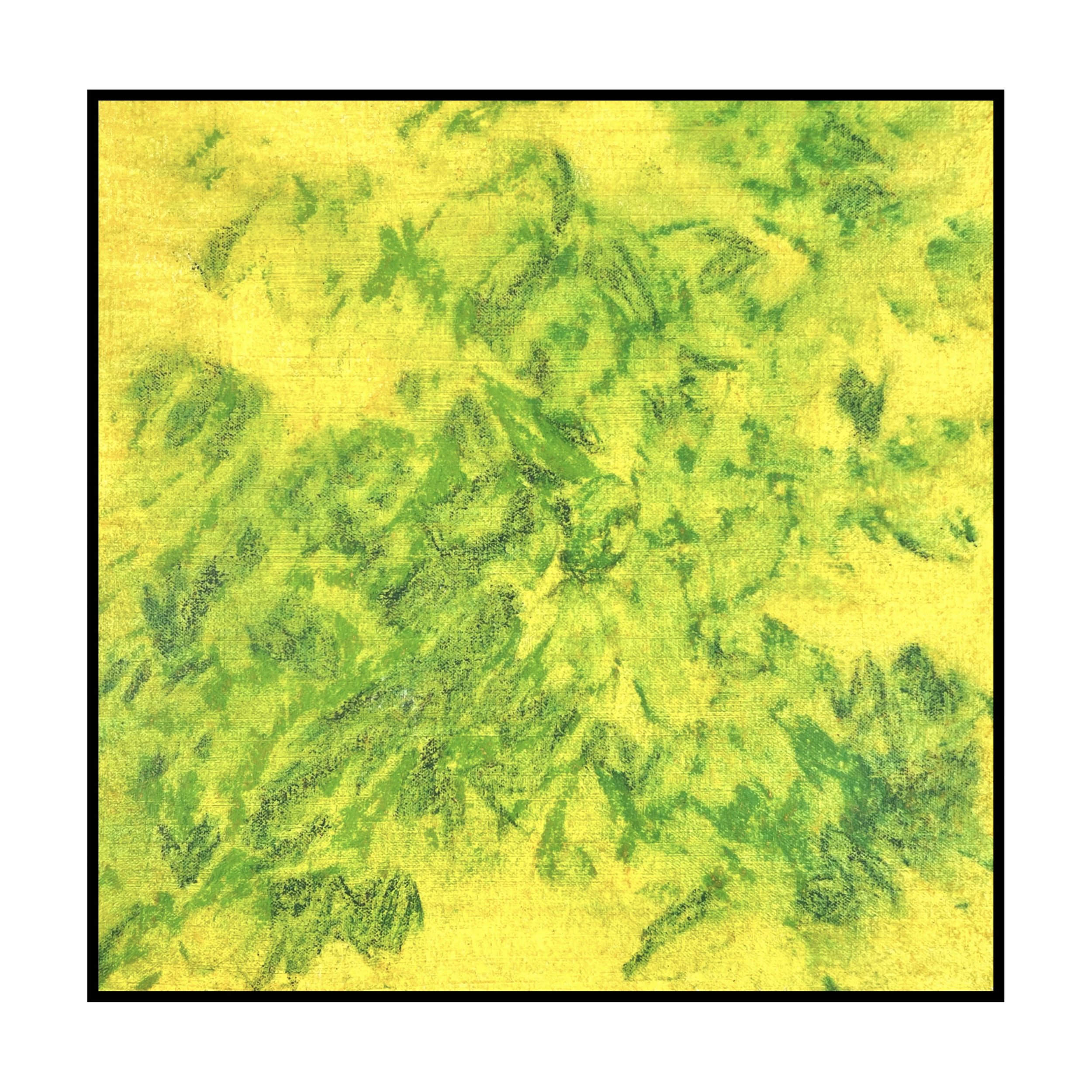 Photo Nov 13 2024, 5 39 16 PM.jpg