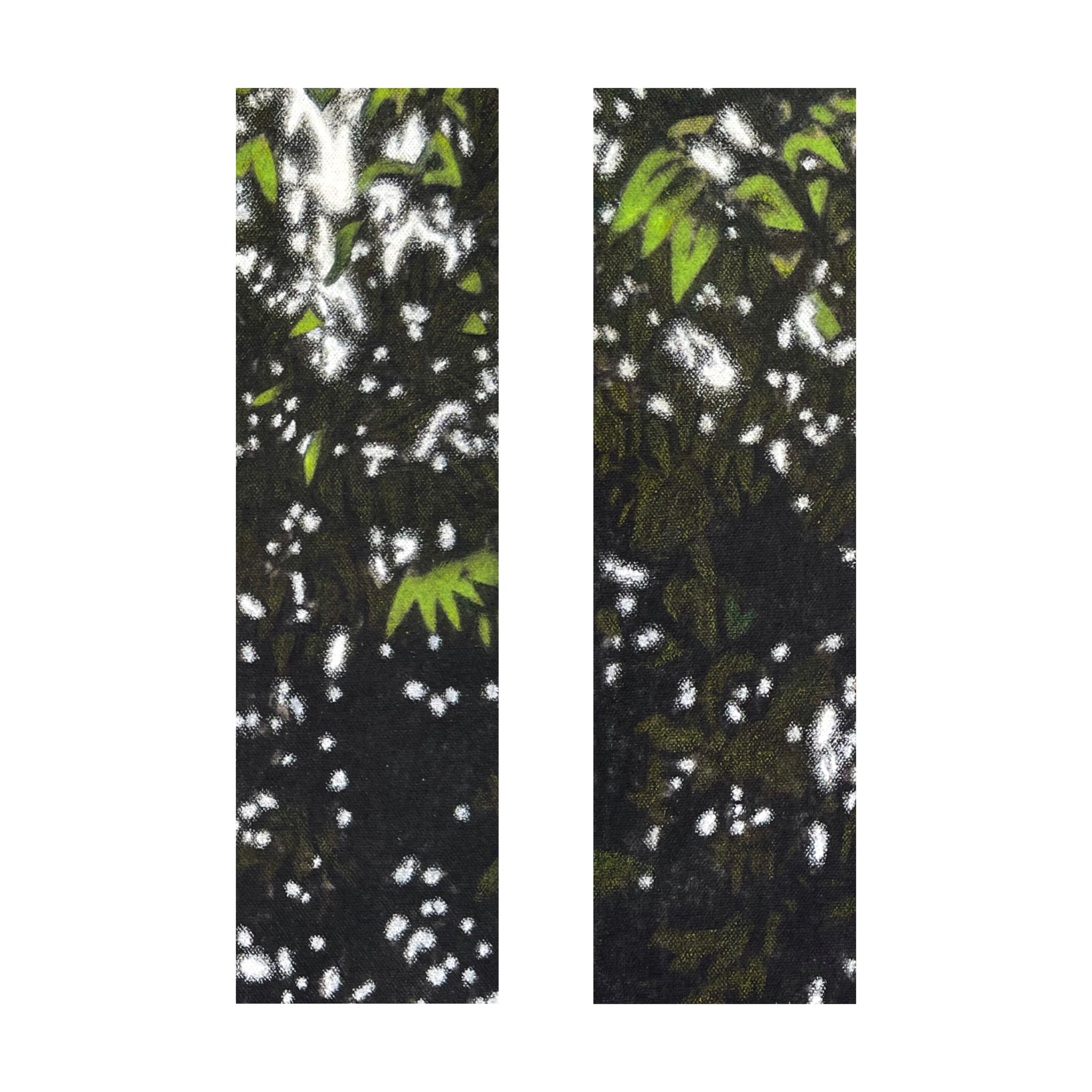 Photo Nov 13 2024, 10 00 24 PM (4).png