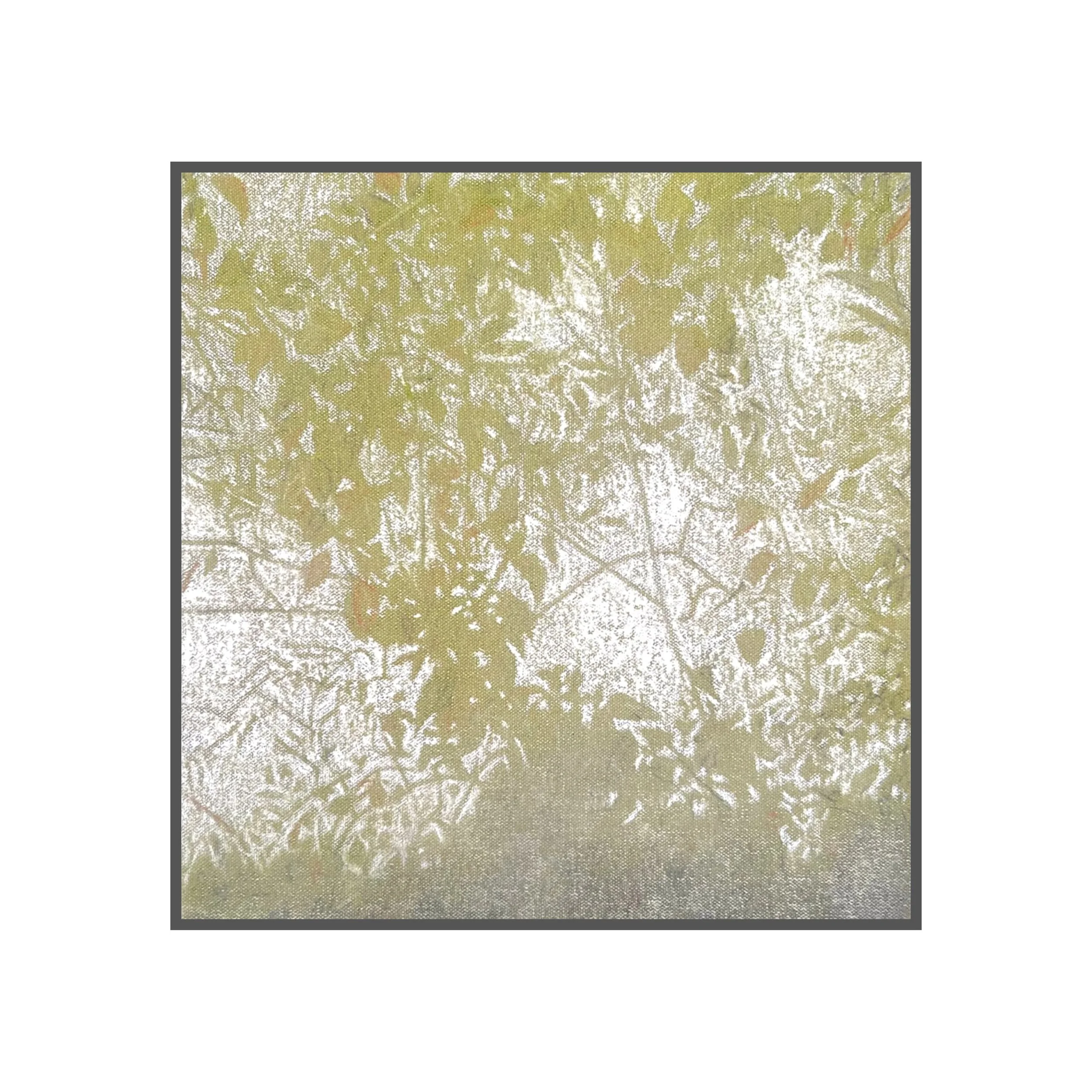 Photo Nov 13 2024, 10 00 24 PM (2).jpg