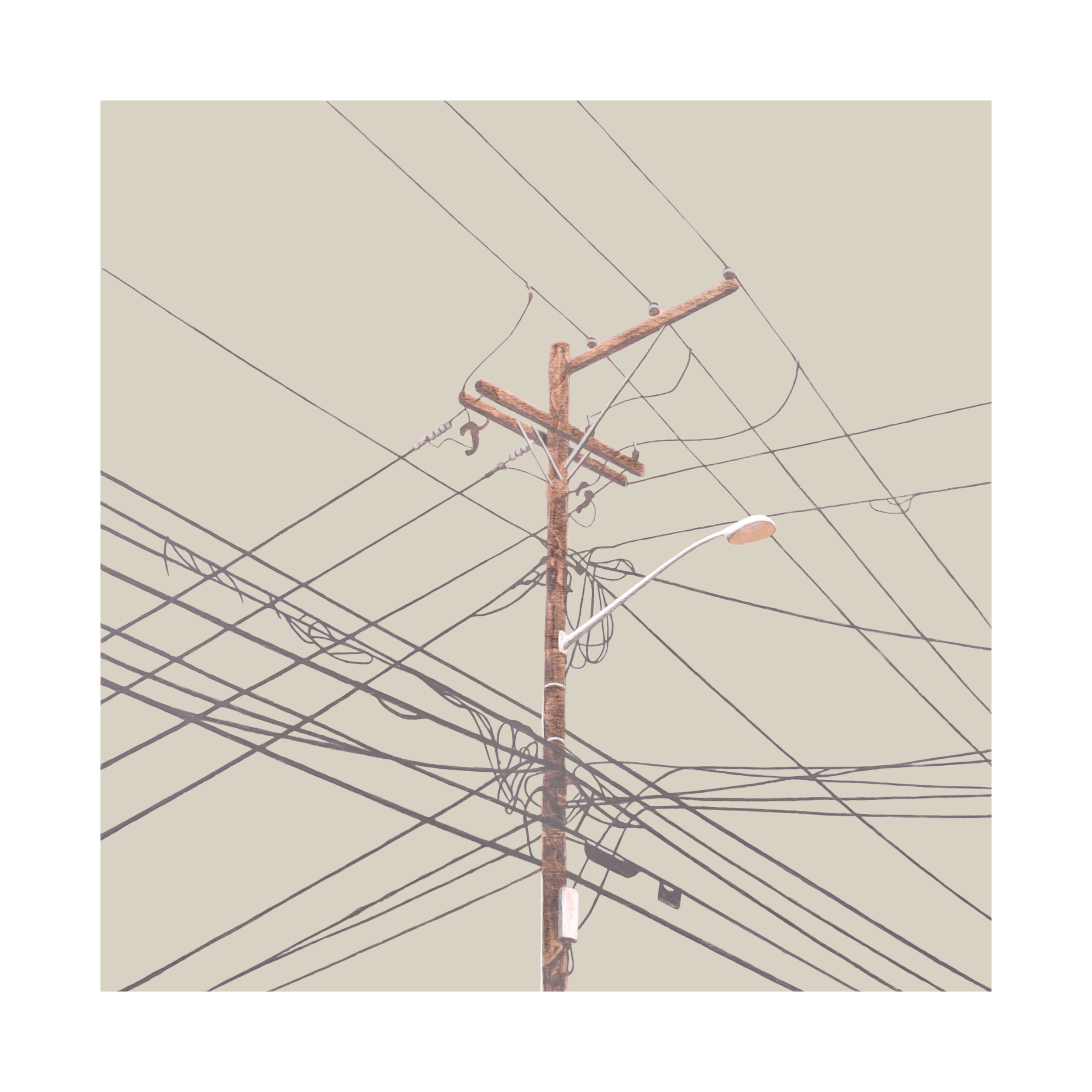 IMG_5238.PNG
