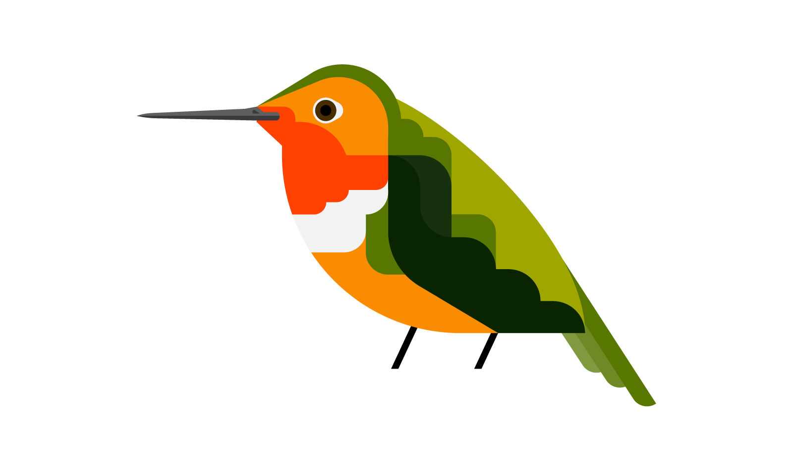 bird2.png