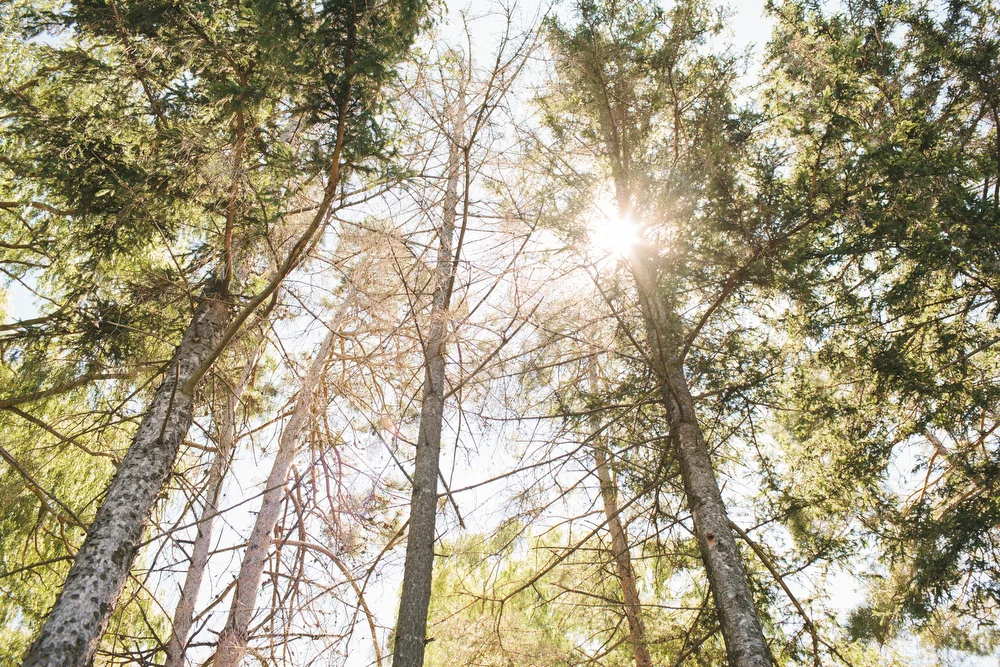 DanijelaWeddings2013019.JPG