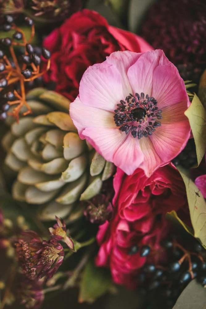 DanijelaWeddings2013096.JPG