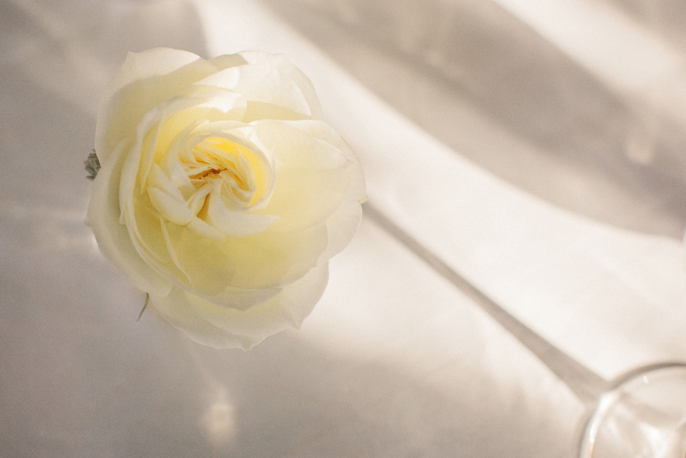 elegant-wedding-photos-GeorgeRestaurant-Toronto-peonies-082.JPG