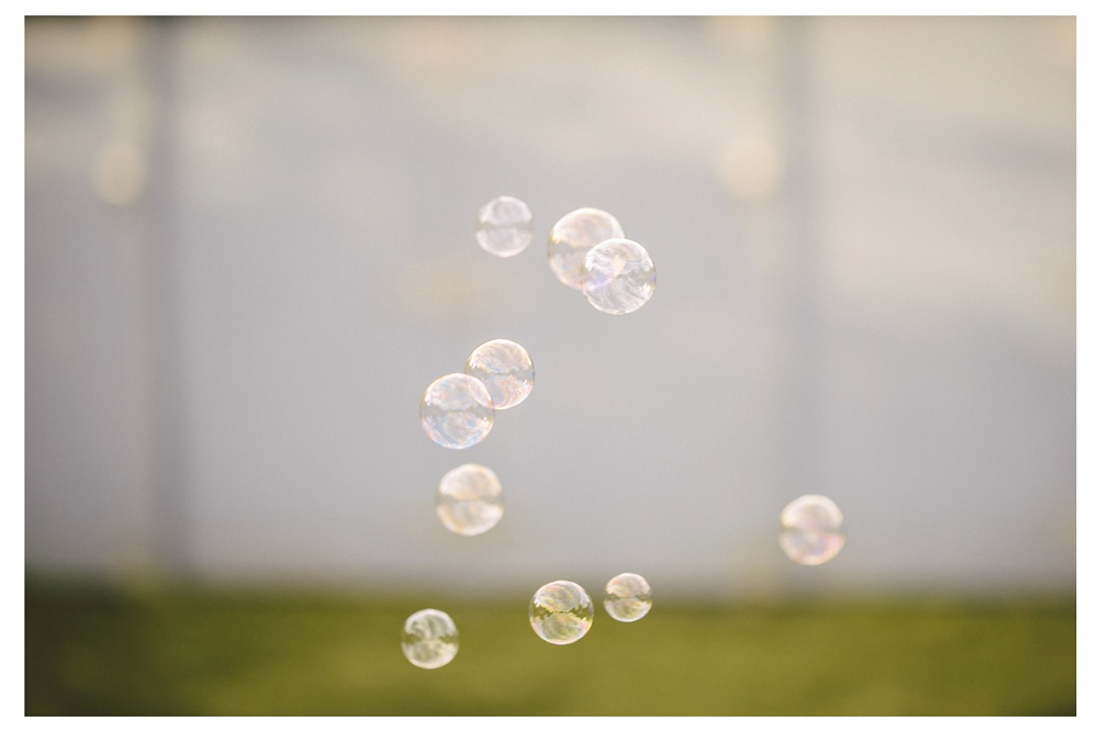 destination-wedding-photos-Hawaii-Toronto-world-DanijelaWeddings-70.JPG