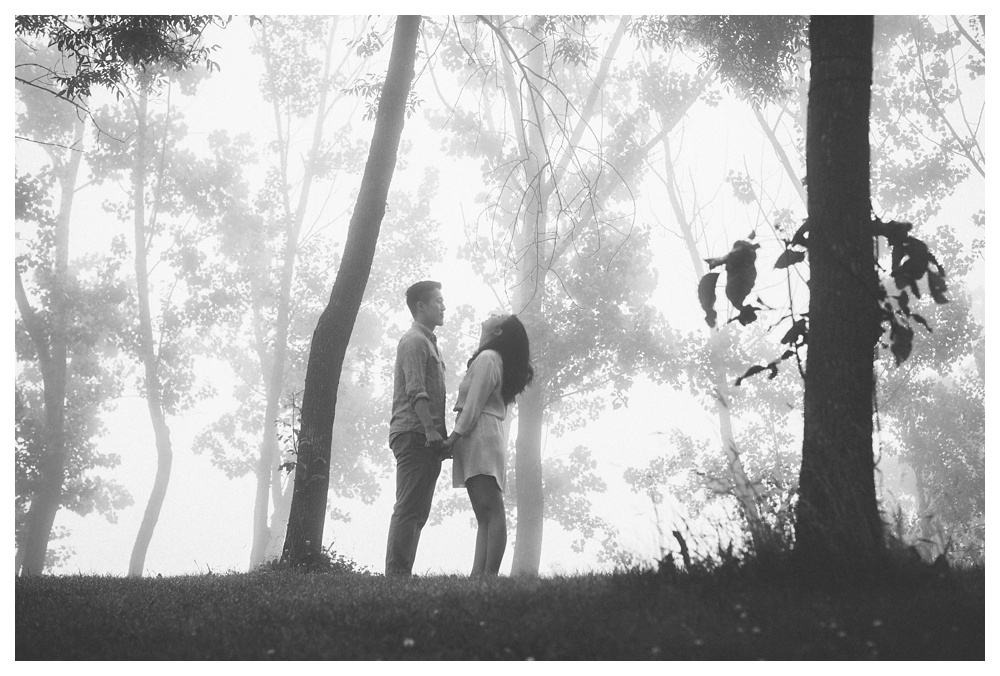 foggy-engagement-photos-Toronto-ScarboroughBluffs-beach-003.JPG