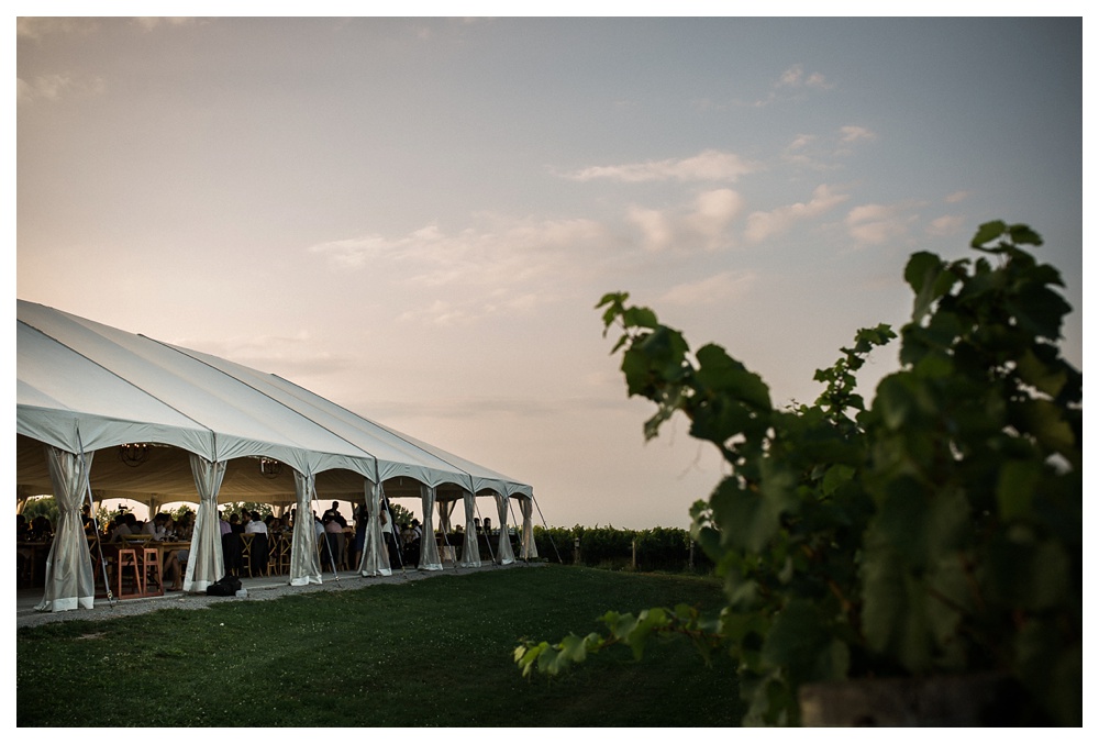 Ravine Winery, wedding, outdoor wedding, romantic, Niagara-on-the-lake, Blush and Bowtie, wedding reception, 