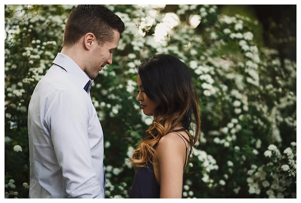 By the beautiful white flowers in the park of Toronto the bride and groom take their engagement photos .