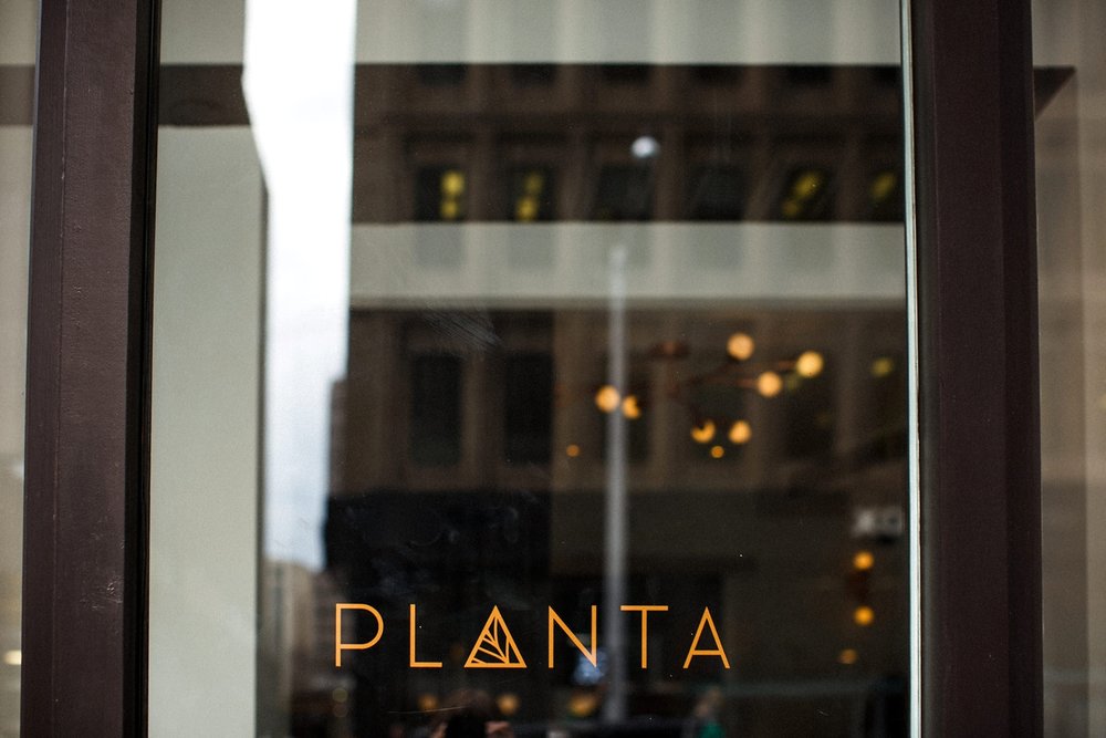 Planta-restaurant-wedding-Toronto-city-hall-hip-alternative-photos-danijelaweddings-084.JPG