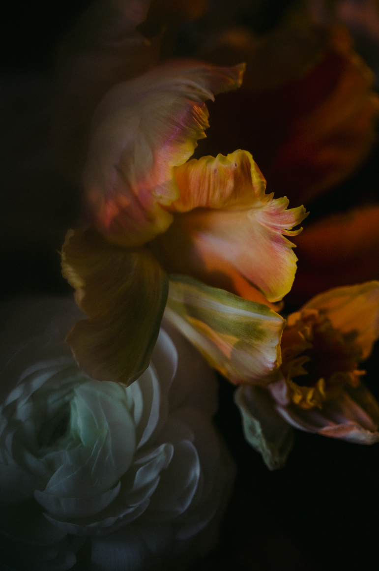 DanijelaWeddings-wedding-photos-Toronto-editorial-bridal-beauty018.PNG