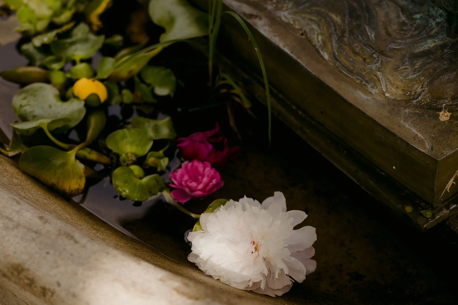 23-0624-DanijelaWeddings-DanijelaGorley-Montreal-EsaBrent-wedding-003.JPG