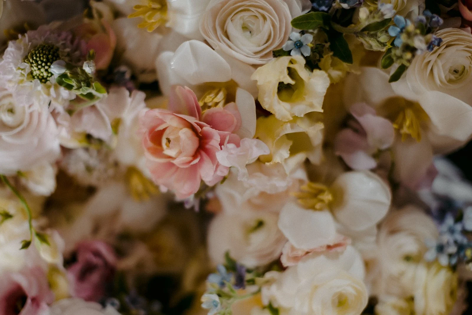 23-0624-DanijelaWeddings-DanijelaGorley-Montreal-EsaBrent-wedding-012.JPG
