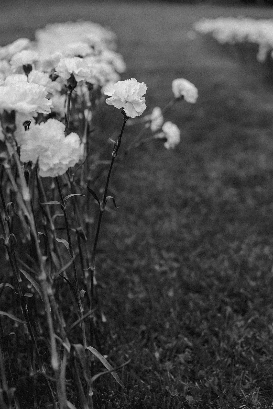 23-0624-DanijelaWeddings-DanijelaGorley-Montreal-EsaBrent-wedding-046.JPG