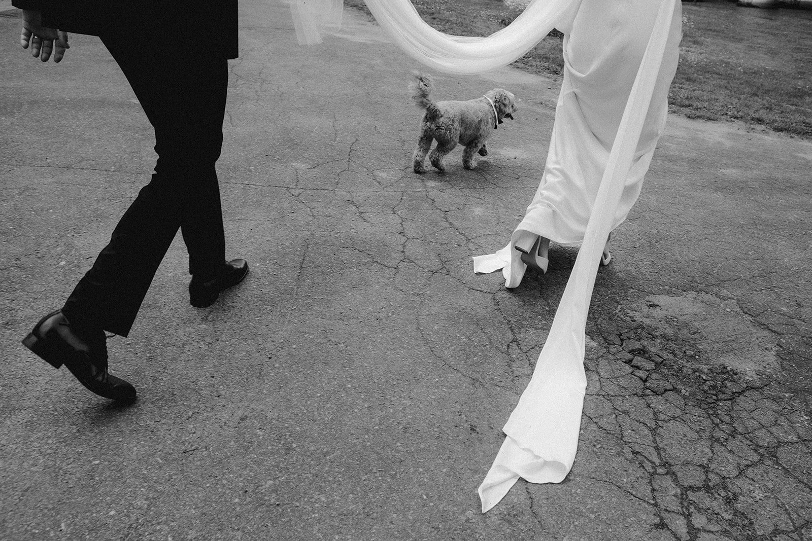 23-0624-DanijelaWeddings-DanijelaGorley-Montreal-EsaBrent-wedding-088.JPG