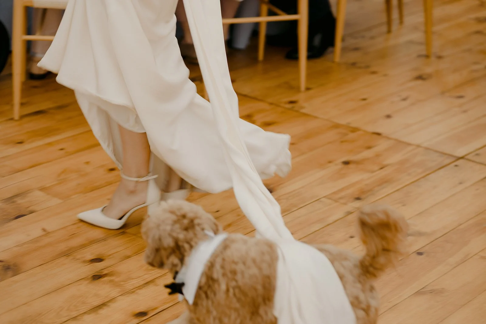 23-0624-DanijelaWeddings-DanijelaGorley-Montreal-EsaBrent-wedding-135.JPG