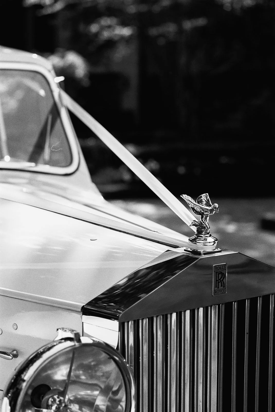 22-0910-DanijelaWeddings-DanijelaGorley-ROM-Estelle&Andrew-wedding-017.JPG