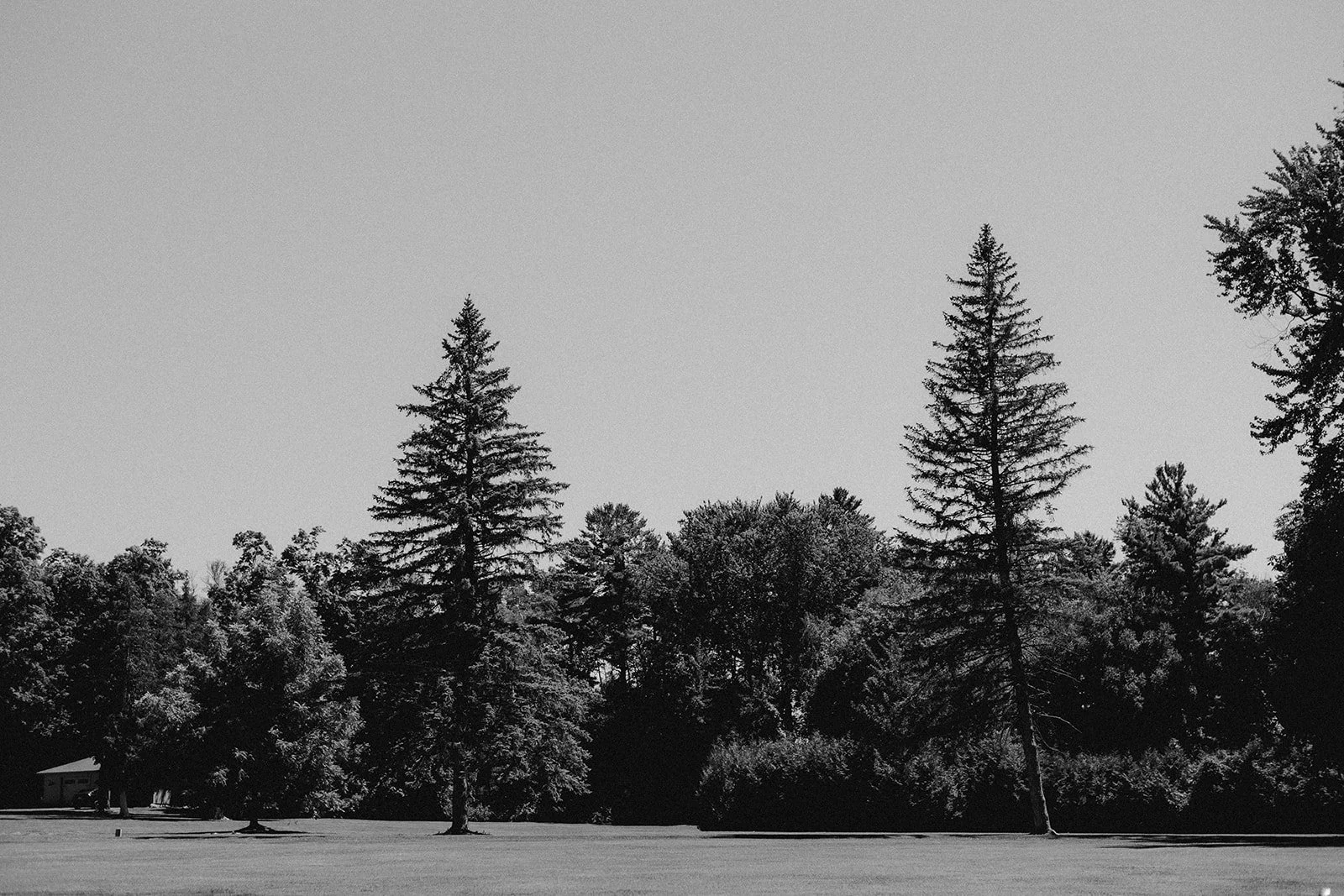 22-0812-DanijelaWeddings-DanijelaGorley-Ontario-StephZach-wedding-001.JPG