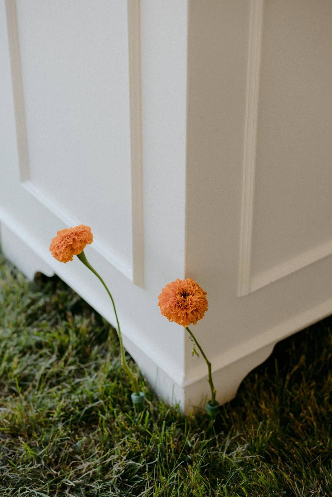 22-0812-DanijelaWeddings-DanijelaGorley-Ontario-StephZach-wedding-115.JPG