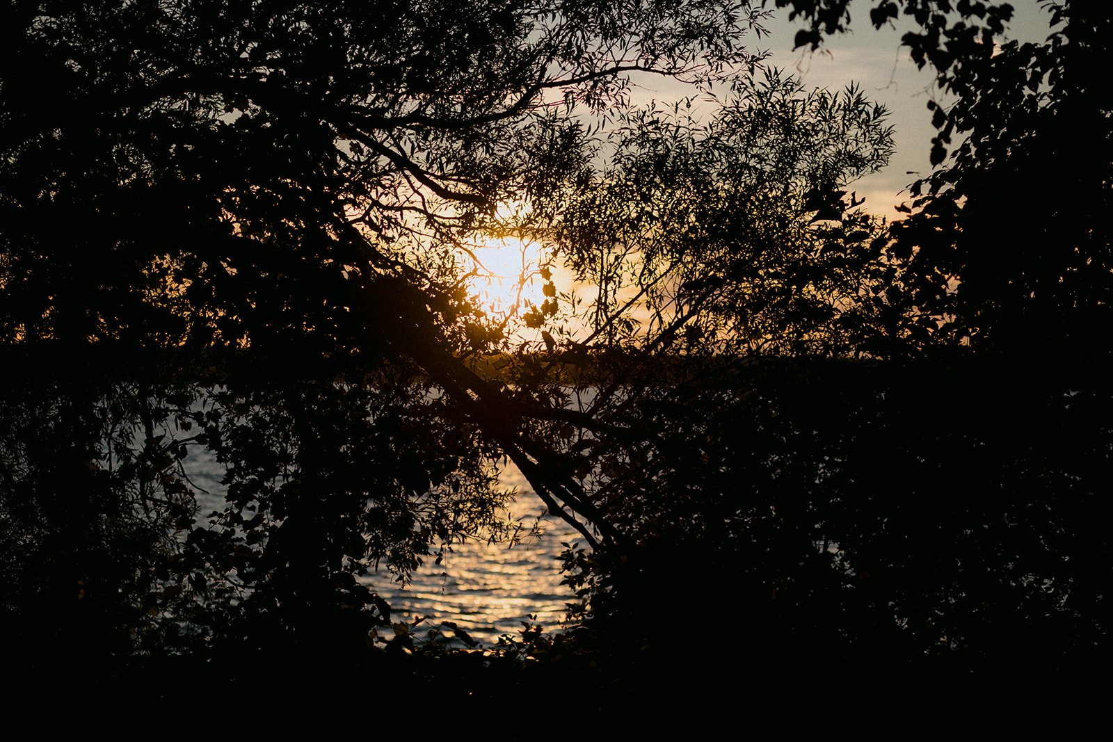 22-0812-DanijelaWeddings-DanijelaGorley-Ontario-StephZach-wedding-180.JPG