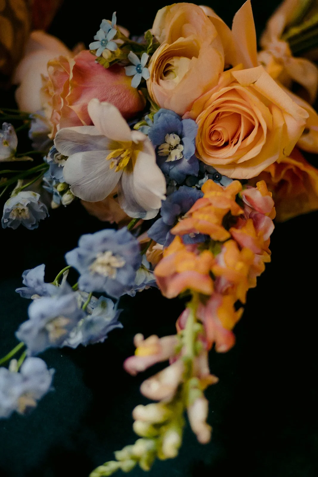 22-0709-DanijelaWeddings-DanijelaGorley-Toronto-OliviaCosmo-wedding-123.JPG
