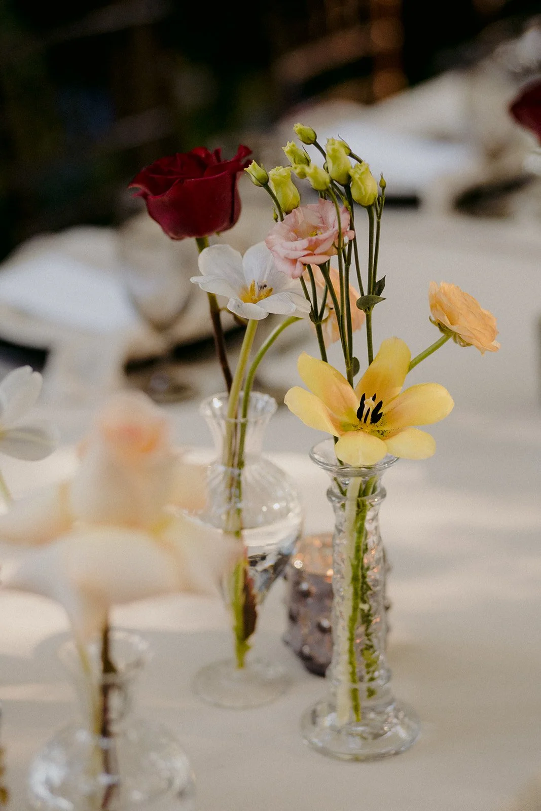 22-0709-DanijelaWeddings-DanijelaGorley-Toronto-OliviaCosmo-wedding-147.JPG