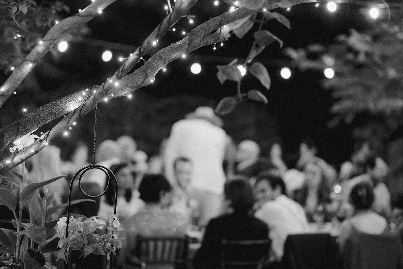 22-0709-DanijelaWeddings-DanijelaGorley-Toronto-OliviaCosmo-wedding-206.JPG