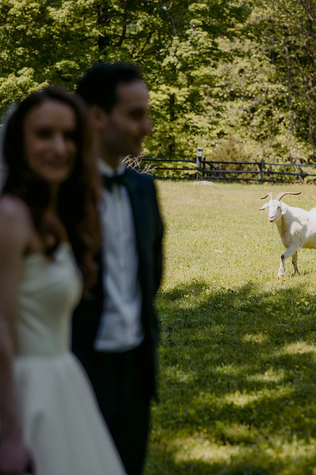 22-0521-DanijelaWeddings-DanijelaGorley-NYC-Brooklyn-HeathIsaai-wedding-058.JPG