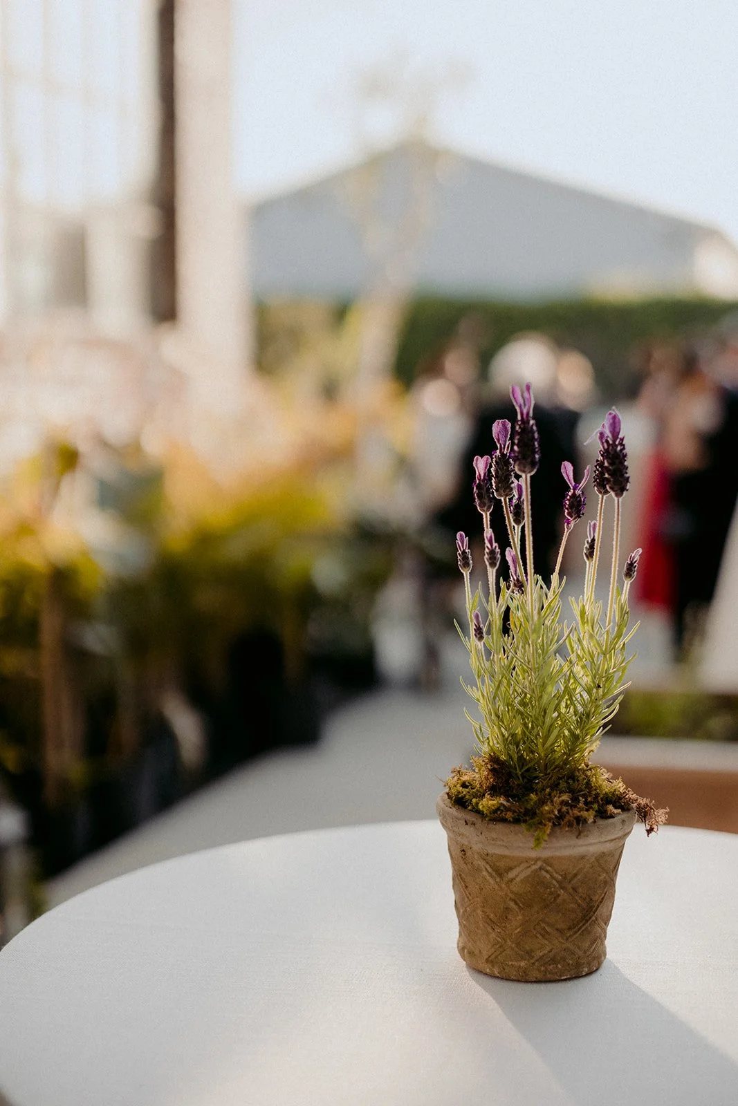 22-0521-DanijelaWeddings-DanijelaGorley-NYC-Brooklyn-HeathIsaai-wedding-132.JPG