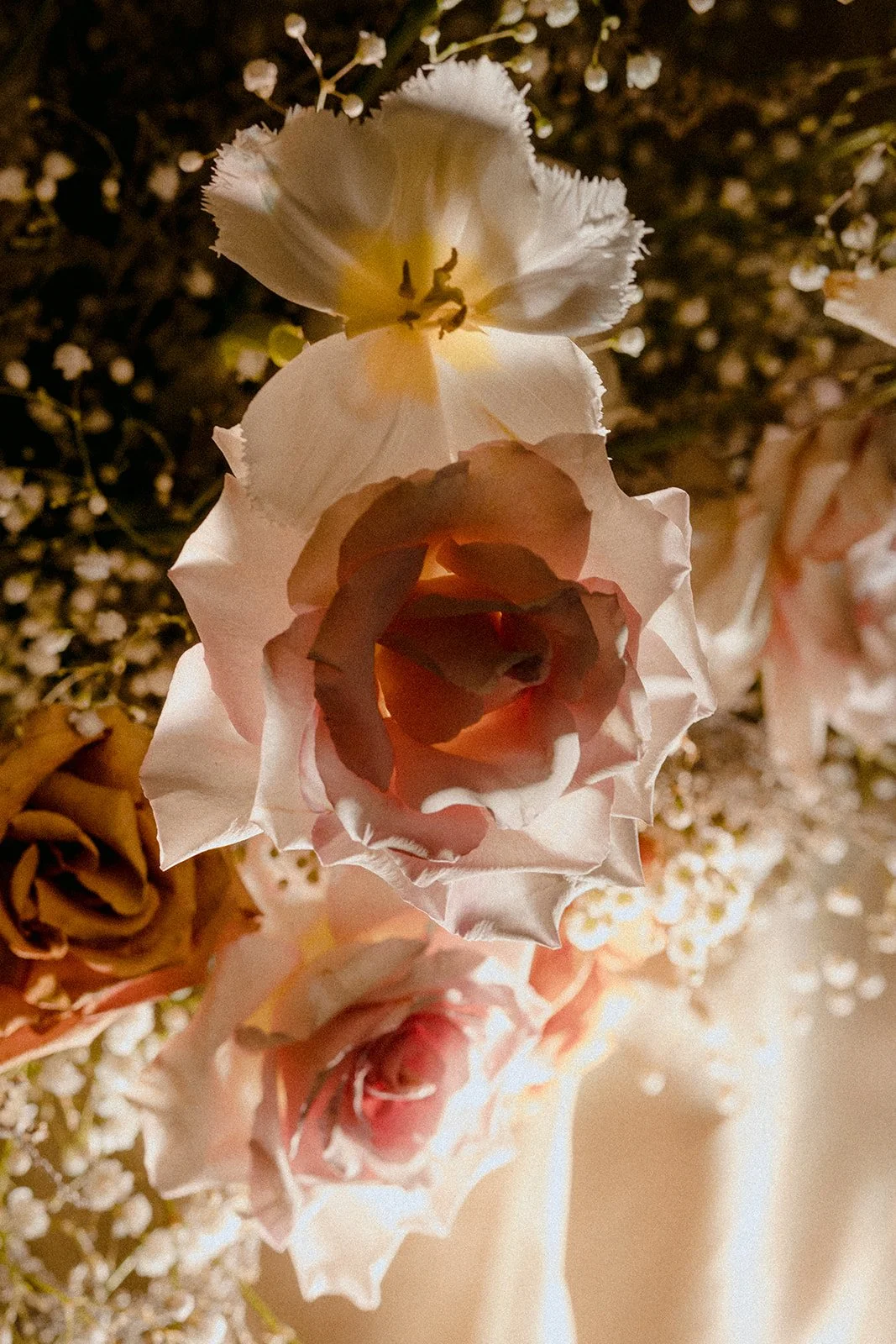 22-0107-DanijelaWeddings-DanijelaGorley-Bymark-JennJohn-wedding-089.JPG