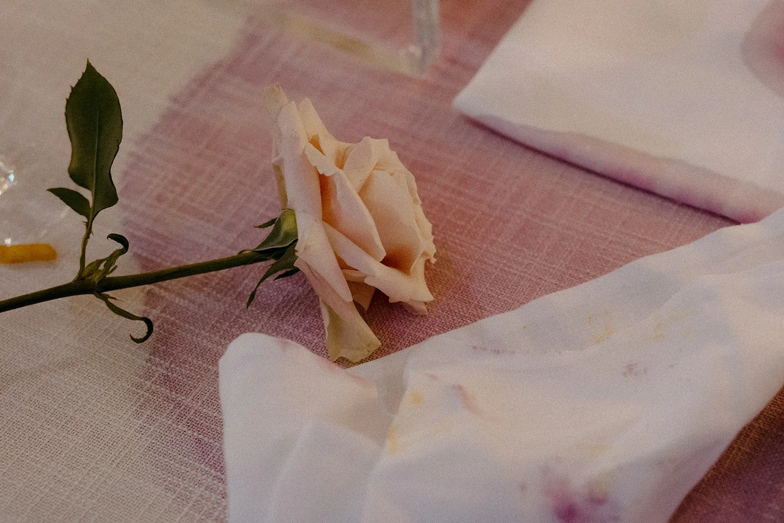 22-0107-DanijelaWeddings-DanijelaGorley-Bymark-JennJohn-wedding-121.JPG
