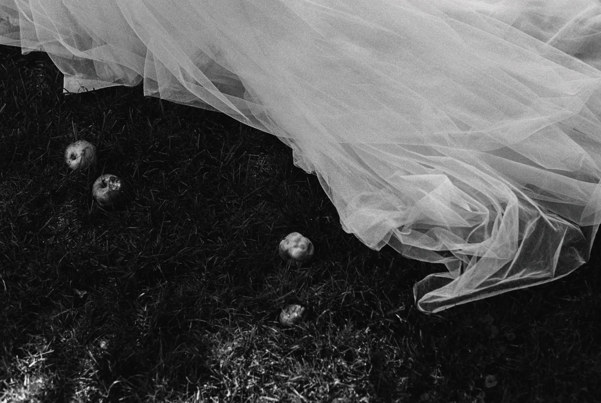 DanijelaGorley-DanijelaWeddings-wedding-film-022.JPG