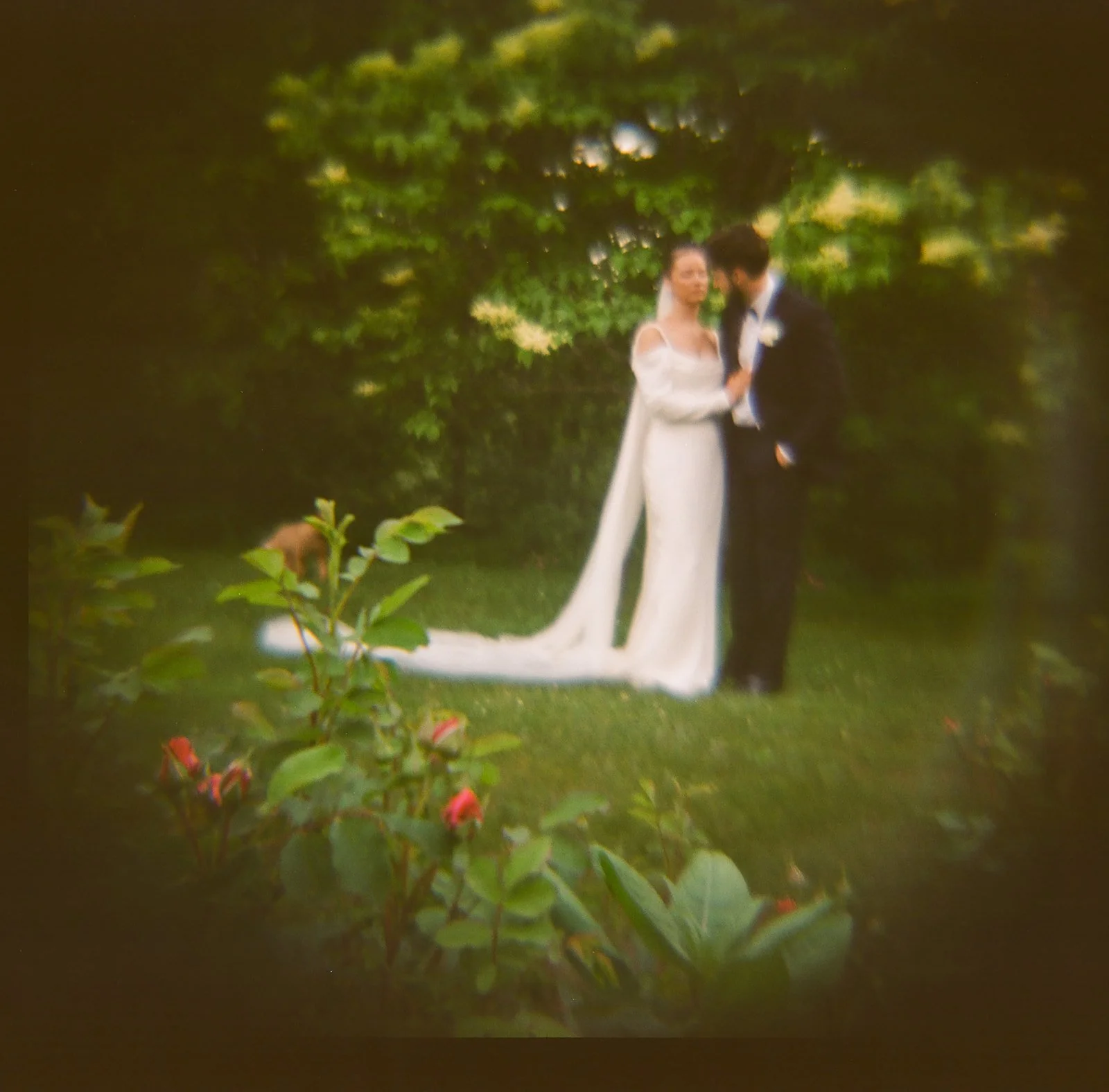 DanijelaGorley-DanijelaWeddings-wedding-film-033.JPG