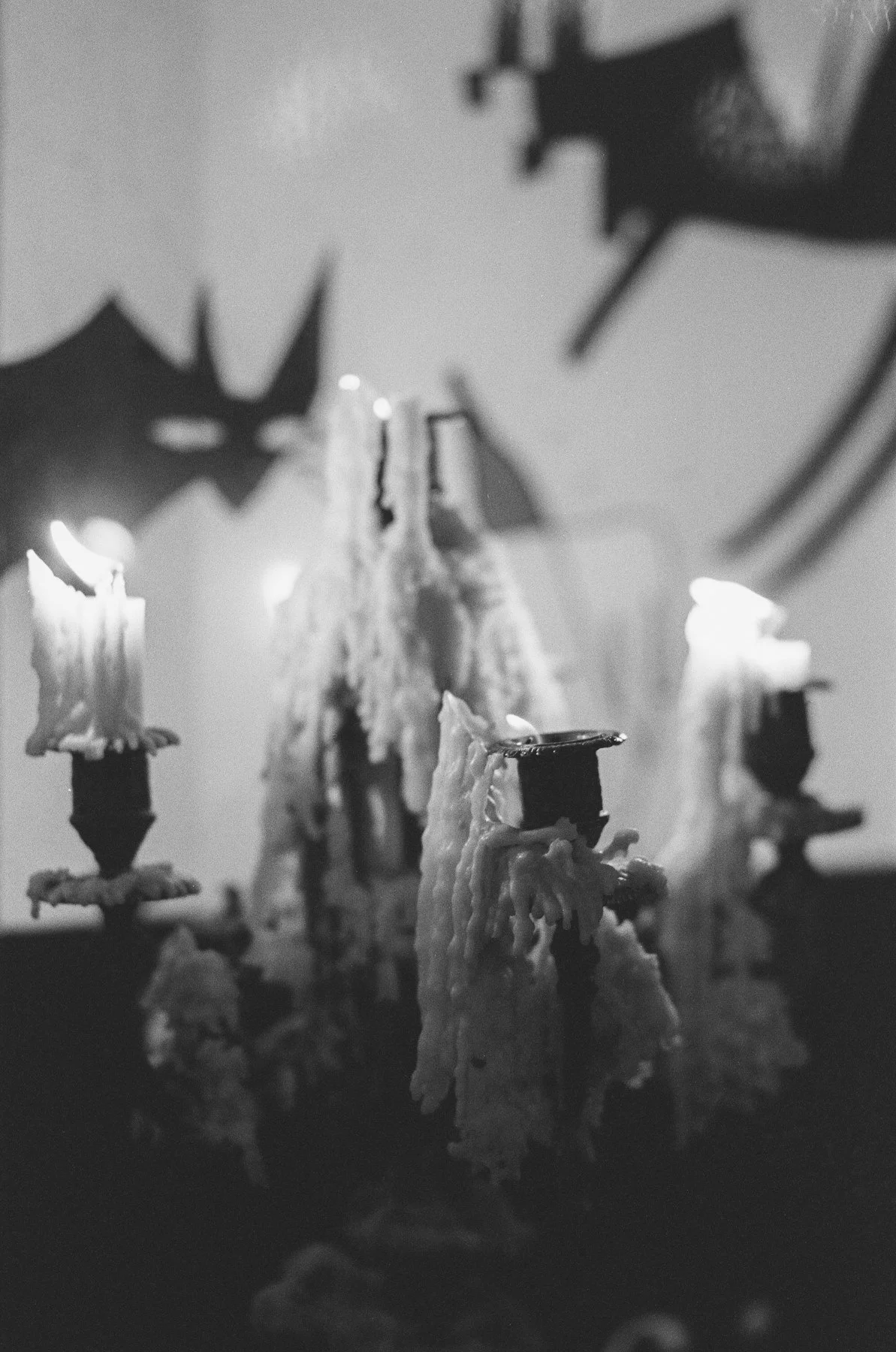 DanijelaGorley-DanijelaWeddings-wedding-film-142.JPG