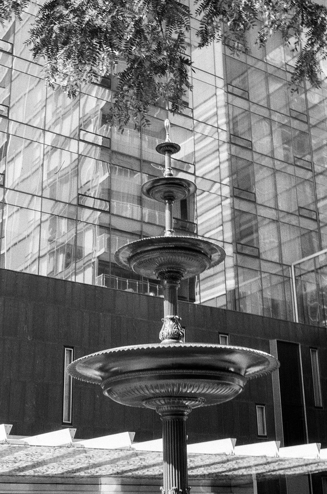 DanijelaGorley-DanijelaWeddings-wedding-film-165.JPG