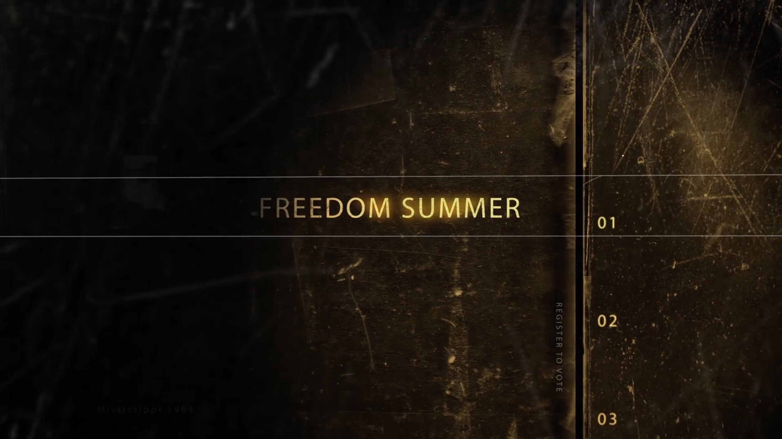 Freedom Summer 1964 - We Remember
