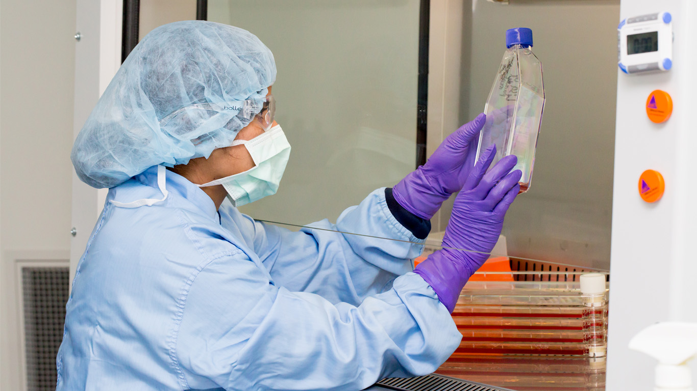 MSCC our Lab.jpg