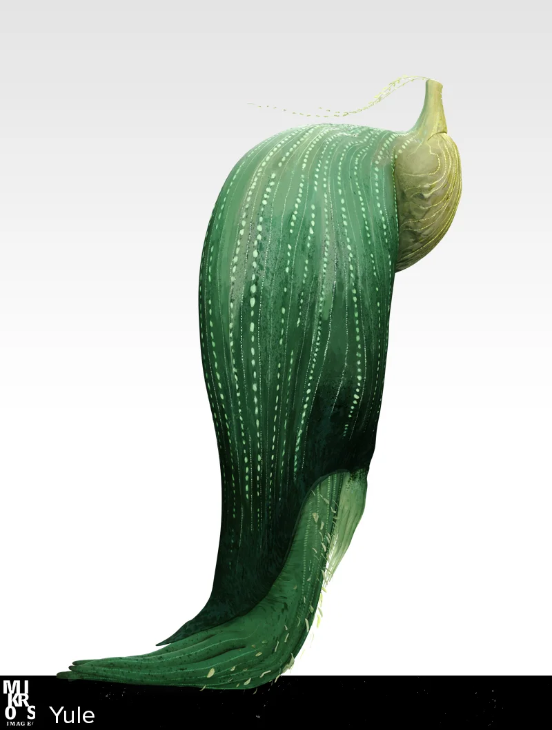 sc9500-sh12198 Yule Approuve