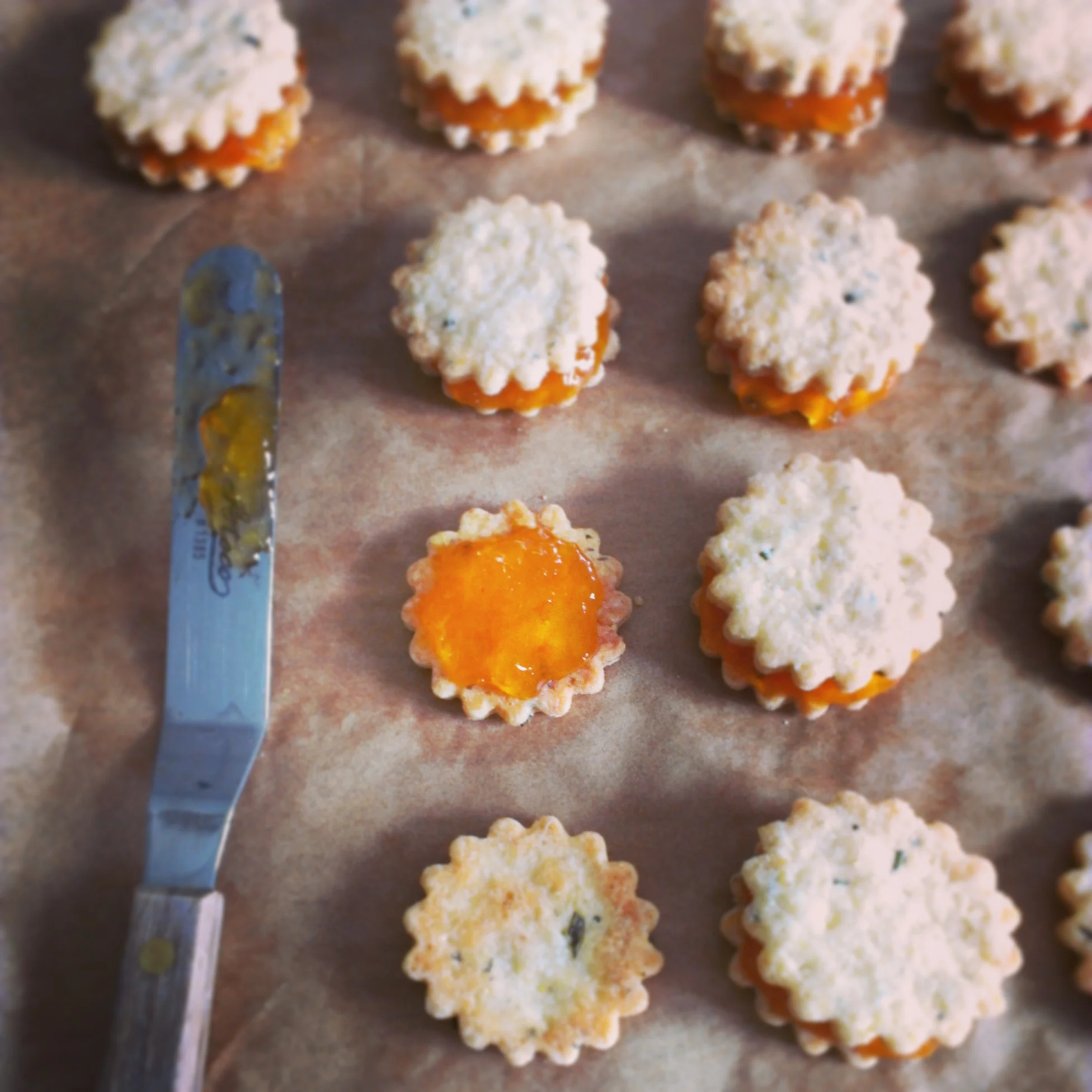 Rosemary Shortbread with Apricot Jam